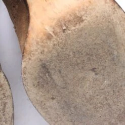 Gucci Boots EUR38 Brown -Boots Style Shop 1971494 37 image 5 661a24b8d2bf3